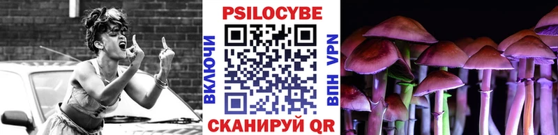 где можно купить   Нерюнгри  Псилоцибиновые грибы ЛСД 